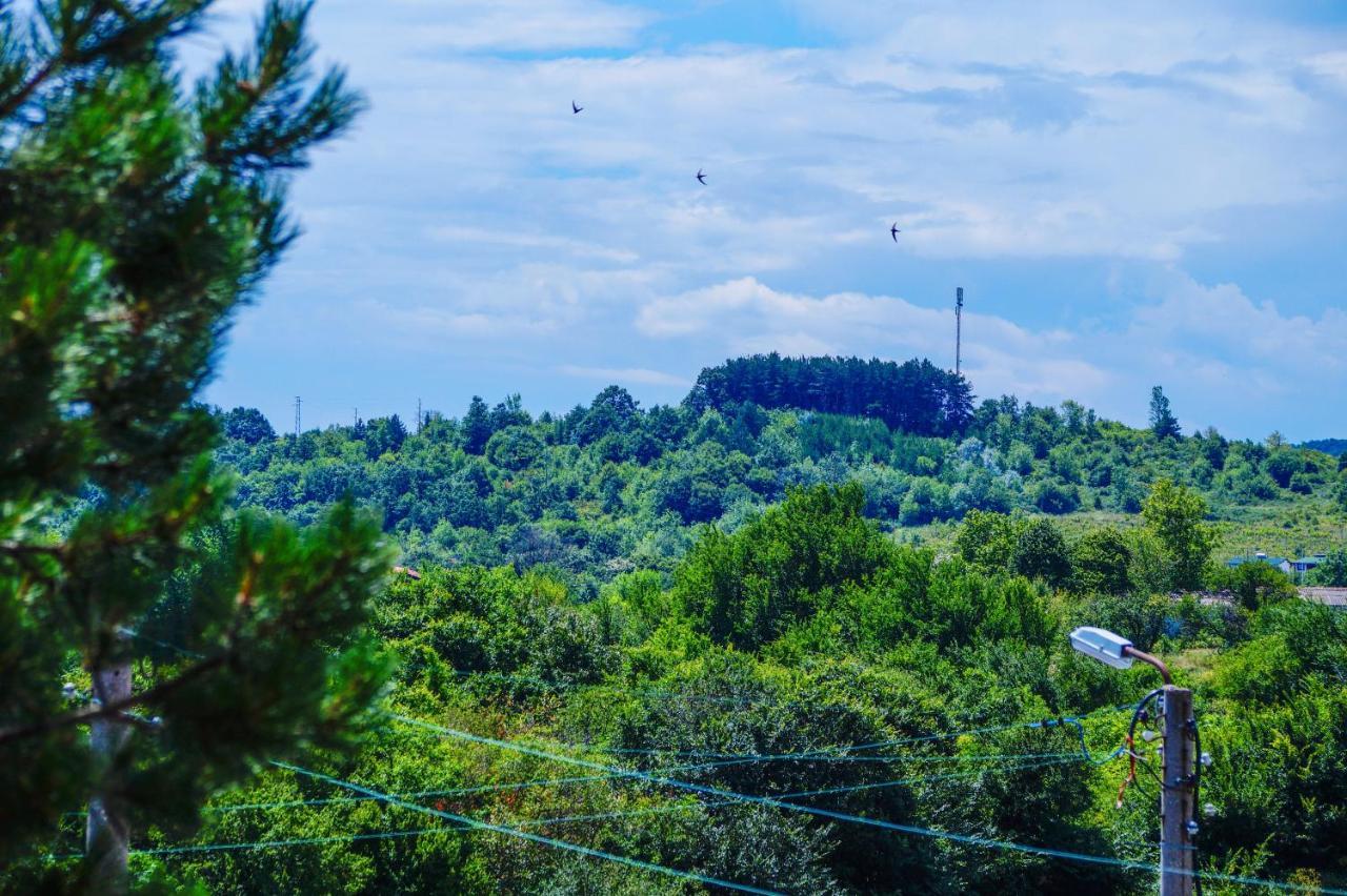 Chrystal Guest House Obzor Dış mekan fotoğraf
